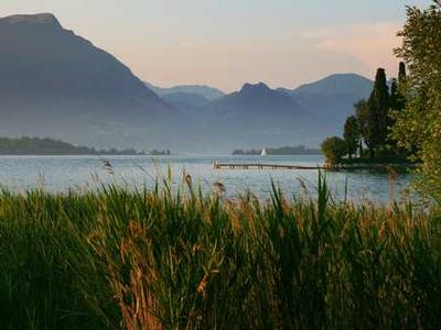 红桃免费视频网站-旅行Vlog